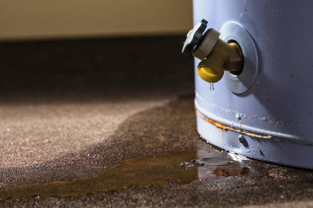 Professional Water damage restoration in Fruitridge Pocket, CA