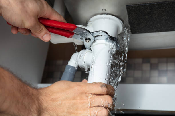 Best Ceiling water damage repair  in Fruitridge Pocket, CA