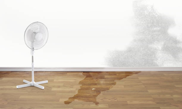 Best 24-hour water damage restoration  in Fruitridge Pocket, CA