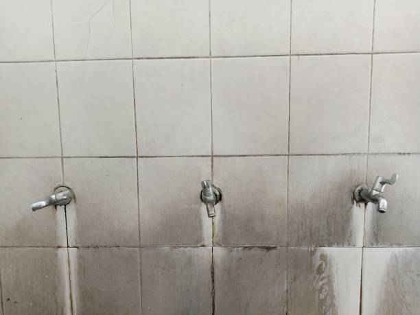 Best Mold removal after water damage  in Fruitridge Pocket, CA