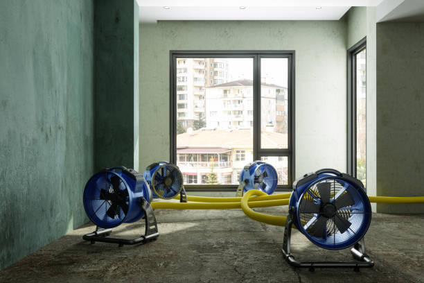 Best Basement water damage restoration  in Fruitridge Pocket, CA