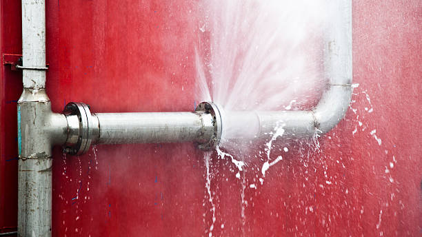 Best Local water damage restoration  in Fruitridge Pocket, CA