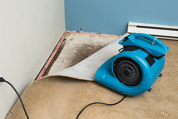 Best Flood damage cleanup  in Fruitridge Pocket, CA